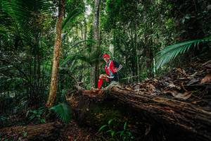 BIB: 
                            <button type="button" onclick="openModal(26425078)" class="btn btn-primary btn-sm float-right btn-popup" data-toggle="modal" data-target=".modal-high-quality">
                        <i class="fas fa-shopping-cart"></i> Add to Cart
                    </button>
                                            <button type="button" onclick="isThisMe(26425078, true)" class="btn btn-success btn-sm float-right btn-popup btn-isme hidden" data-toggle="tooltip" data-placement="bottom" title="นี่คือรูปของคุณใช่ไหม คลิกที่นี่เพื่อเอาเข้าอัลบั้ม">
                        <i class="fas fa-plus"></i> Add to album
                    </button>
                    <button type="button" onclick="isThisMe(26425078, false)" class="btn btn-warning btn-sm float-right btn-popup btn-isnotme hidden">
                        <i class="fas fa-ban"></i> Remove from album
                    </button>