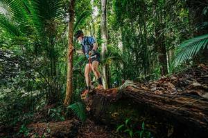 BIB: 
                            <button type="button" onclick="openModal(26425763)" class="btn btn-primary btn-sm float-right btn-popup" data-toggle="modal" data-target=".modal-high-quality">
                        <i class="fas fa-shopping-cart"></i> Add to Cart
                    </button>
                                            <button type="button" onclick="isThisMe(26425763, true)" class="btn btn-success btn-sm float-right btn-popup btn-isme hidden" data-toggle="tooltip" data-placement="bottom" title="นี่คือรูปของคุณใช่ไหม คลิกที่นี่เพื่อเอาเข้าอัลบั้ม">
                        <i class="fas fa-plus"></i> Add to album
                    </button>
                    <button type="button" onclick="isThisMe(26425763, false)" class="btn btn-warning btn-sm float-right btn-popup btn-isnotme hidden">
                        <i class="fas fa-ban"></i> Remove from album
                    </button>