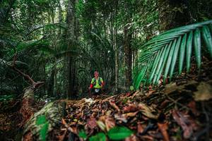 BIB: 
                            <button type="button" onclick="openModal(26429696)" class="btn btn-primary btn-sm float-right btn-popup" data-toggle="modal" data-target=".modal-high-quality">
                        <i class="fas fa-shopping-cart"></i> Add to Cart
                    </button>
                                            <button type="button" onclick="isThisMe(26429696, true)" class="btn btn-success btn-sm float-right btn-popup btn-isme hidden" data-toggle="tooltip" data-placement="bottom" title="นี่คือรูปของคุณใช่ไหม คลิกที่นี่เพื่อเอาเข้าอัลบั้ม">
                        <i class="fas fa-plus"></i> Add to album
                    </button>
                    <button type="button" onclick="isThisMe(26429696, false)" class="btn btn-warning btn-sm float-right btn-popup btn-isnotme hidden">
                        <i class="fas fa-ban"></i> Remove from album
                    </button>