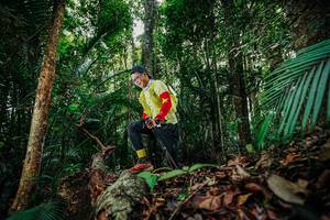 BIB: 
                            <button type="button" onclick="openModal(26424284)" class="btn btn-primary btn-sm float-right btn-popup" data-toggle="modal" data-target=".modal-high-quality">
                        <i class="fas fa-shopping-cart"></i> Add to Cart
                    </button>
                                            <button type="button" onclick="isThisMe(26424284, true)" class="btn btn-success btn-sm float-right btn-popup btn-isme hidden" data-toggle="tooltip" data-placement="bottom" title="นี่คือรูปของคุณใช่ไหม คลิกที่นี่เพื่อเอาเข้าอัลบั้ม">
                        <i class="fas fa-plus"></i> Add to album
                    </button>
                    <button type="button" onclick="isThisMe(26424284, false)" class="btn btn-warning btn-sm float-right btn-popup btn-isnotme hidden">
                        <i class="fas fa-ban"></i> Remove from album
                    </button>