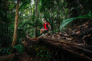 BIB: 
                            <button type="button" onclick="openModal(26425034)" class="btn btn-primary btn-sm float-right btn-popup" data-toggle="modal" data-target=".modal-high-quality">
                        <i class="fas fa-shopping-cart"></i> Add to Cart
                    </button>
                                            <button type="button" onclick="isThisMe(26425034, true)" class="btn btn-success btn-sm float-right btn-popup btn-isme hidden" data-toggle="tooltip" data-placement="bottom" title="นี่คือรูปของคุณใช่ไหม คลิกที่นี่เพื่อเอาเข้าอัลบั้ม">
                        <i class="fas fa-plus"></i> Add to album
                    </button>
                    <button type="button" onclick="isThisMe(26425034, false)" class="btn btn-warning btn-sm float-right btn-popup btn-isnotme hidden">
                        <i class="fas fa-ban"></i> Remove from album
                    </button>