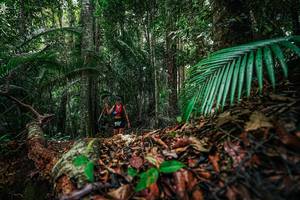 BIB: 
                            <button type="button" onclick="openModal(26430012)" class="btn btn-primary btn-sm float-right btn-popup" data-toggle="modal" data-target=".modal-high-quality">
                        <i class="fas fa-shopping-cart"></i> Add to Cart
                    </button>
                                            <button type="button" onclick="isThisMe(26430012, true)" class="btn btn-success btn-sm float-right btn-popup btn-isme hidden" data-toggle="tooltip" data-placement="bottom" title="นี่คือรูปของคุณใช่ไหม คลิกที่นี่เพื่อเอาเข้าอัลบั้ม">
                        <i class="fas fa-plus"></i> Add to album
                    </button>
                    <button type="button" onclick="isThisMe(26430012, false)" class="btn btn-warning btn-sm float-right btn-popup btn-isnotme hidden">
                        <i class="fas fa-ban"></i> Remove from album
                    </button>