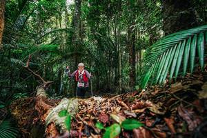 BIB: 
                            <button type="button" onclick="openModal(26429850)" class="btn btn-primary btn-sm float-right btn-popup" data-toggle="modal" data-target=".modal-high-quality">
                        <i class="fas fa-shopping-cart"></i> Add to Cart
                    </button>
                                            <button type="button" onclick="isThisMe(26429850, true)" class="btn btn-success btn-sm float-right btn-popup btn-isme hidden" data-toggle="tooltip" data-placement="bottom" title="นี่คือรูปของคุณใช่ไหม คลิกที่นี่เพื่อเอาเข้าอัลบั้ม">
                        <i class="fas fa-plus"></i> Add to album
                    </button>
                    <button type="button" onclick="isThisMe(26429850, false)" class="btn btn-warning btn-sm float-right btn-popup btn-isnotme hidden">
                        <i class="fas fa-ban"></i> Remove from album
                    </button>