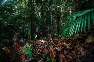 BIB: 
                            <button type="button" onclick="openModal(26429473)" class="btn btn-primary btn-sm float-right btn-popup" data-toggle="modal" data-target=".modal-high-quality">
                        <i class="fas fa-shopping-cart"></i> Add to Cart
                    </button>
                                            <button type="button" onclick="isThisMe(26429473, true)" class="btn btn-success btn-sm float-right btn-popup btn-isme hidden" data-toggle="tooltip" data-placement="bottom" title="นี่คือรูปของคุณใช่ไหม คลิกที่นี่เพื่อเอาเข้าอัลบั้ม">
                        <i class="fas fa-plus"></i> Add to album
                    </button>
                    <button type="button" onclick="isThisMe(26429473, false)" class="btn btn-warning btn-sm float-right btn-popup btn-isnotme hidden">
                        <i class="fas fa-ban"></i> Remove from album
                    </button>