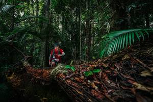 BIB: 
                            <button type="button" onclick="openModal(26427589)" class="btn btn-primary btn-sm float-right btn-popup" data-toggle="modal" data-target=".modal-high-quality">
                        <i class="fas fa-shopping-cart"></i> Add to Cart
                    </button>
                                            <button type="button" onclick="isThisMe(26427589, true)" class="btn btn-success btn-sm float-right btn-popup btn-isme hidden" data-toggle="tooltip" data-placement="bottom" title="นี่คือรูปของคุณใช่ไหม คลิกที่นี่เพื่อเอาเข้าอัลบั้ม">
                        <i class="fas fa-plus"></i> Add to album
                    </button>
                    <button type="button" onclick="isThisMe(26427589, false)" class="btn btn-warning btn-sm float-right btn-popup btn-isnotme hidden">
                        <i class="fas fa-ban"></i> Remove from album
                    </button>