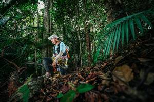 BIB: 
                            <button type="button" onclick="openModal(26432140)" class="btn btn-primary btn-sm float-right btn-popup" data-toggle="modal" data-target=".modal-high-quality">
                        <i class="fas fa-shopping-cart"></i> Add to Cart
                    </button>
                                            <button type="button" onclick="isThisMe(26432140, true)" class="btn btn-success btn-sm float-right btn-popup btn-isme hidden" data-toggle="tooltip" data-placement="bottom" title="นี่คือรูปของคุณใช่ไหม คลิกที่นี่เพื่อเอาเข้าอัลบั้ม">
                        <i class="fas fa-plus"></i> Add to album
                    </button>
                    <button type="button" onclick="isThisMe(26432140, false)" class="btn btn-warning btn-sm float-right btn-popup btn-isnotme hidden">
                        <i class="fas fa-ban"></i> Remove from album
                    </button>