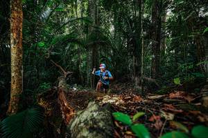 BIB: 
                            <button type="button" onclick="openModal(26423902)" class="btn btn-primary btn-sm float-right btn-popup" data-toggle="modal" data-target=".modal-high-quality">
                        <i class="fas fa-shopping-cart"></i> Add to Cart
                    </button>
                                            <button type="button" onclick="isThisMe(26423902, true)" class="btn btn-success btn-sm float-right btn-popup btn-isme hidden" data-toggle="tooltip" data-placement="bottom" title="นี่คือรูปของคุณใช่ไหม คลิกที่นี่เพื่อเอาเข้าอัลบั้ม">
                        <i class="fas fa-plus"></i> Add to album
                    </button>
                    <button type="button" onclick="isThisMe(26423902, false)" class="btn btn-warning btn-sm float-right btn-popup btn-isnotme hidden">
                        <i class="fas fa-ban"></i> Remove from album
                    </button>