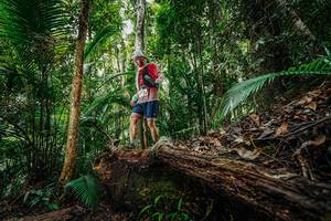 BIB: 
                            <button type="button" onclick="openModal(26425340)" class="btn btn-primary btn-sm float-right btn-popup" data-toggle="modal" data-target=".modal-high-quality">
                        <i class="fas fa-shopping-cart"></i> Add to Cart
                    </button>
                                            <button type="button" onclick="isThisMe(26425340, true)" class="btn btn-success btn-sm float-right btn-popup btn-isme hidden" data-toggle="tooltip" data-placement="bottom" title="นี่คือรูปของคุณใช่ไหม คลิกที่นี่เพื่อเอาเข้าอัลบั้ม">
                        <i class="fas fa-plus"></i> Add to album
                    </button>
                    <button type="button" onclick="isThisMe(26425340, false)" class="btn btn-warning btn-sm float-right btn-popup btn-isnotme hidden">
                        <i class="fas fa-ban"></i> Remove from album
                    </button>