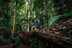 BIB: 
                            <button type="button" onclick="openModal(26425757)" class="btn btn-primary btn-sm float-right btn-popup" data-toggle="modal" data-target=".modal-high-quality">
                        <i class="fas fa-shopping-cart"></i> Add to Cart
                    </button>
                                            <button type="button" onclick="isThisMe(26425757, true)" class="btn btn-success btn-sm float-right btn-popup btn-isme hidden" data-toggle="tooltip" data-placement="bottom" title="นี่คือรูปของคุณใช่ไหม คลิกที่นี่เพื่อเอาเข้าอัลบั้ม">
                        <i class="fas fa-plus"></i> Add to album
                    </button>
                    <button type="button" onclick="isThisMe(26425757, false)" class="btn btn-warning btn-sm float-right btn-popup btn-isnotme hidden">
                        <i class="fas fa-ban"></i> Remove from album
                    </button>