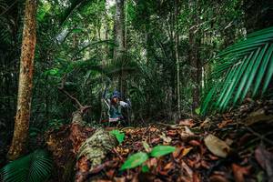 BIB: 
                            <button type="button" onclick="openModal(26427176)" class="btn btn-primary btn-sm float-right btn-popup" data-toggle="modal" data-target=".modal-high-quality">
                        <i class="fas fa-shopping-cart"></i> Add to Cart
                    </button>
                                            <button type="button" onclick="isThisMe(26427176, true)" class="btn btn-success btn-sm float-right btn-popup btn-isme hidden" data-toggle="tooltip" data-placement="bottom" title="นี่คือรูปของคุณใช่ไหม คลิกที่นี่เพื่อเอาเข้าอัลบั้ม">
                        <i class="fas fa-plus"></i> Add to album
                    </button>
                    <button type="button" onclick="isThisMe(26427176, false)" class="btn btn-warning btn-sm float-right btn-popup btn-isnotme hidden">
                        <i class="fas fa-ban"></i> Remove from album
                    </button>