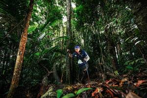 BIB: 
                            <button type="button" onclick="openModal(26420580)" class="btn btn-primary btn-sm float-right btn-popup" data-toggle="modal" data-target=".modal-high-quality">
                        <i class="fas fa-shopping-cart"></i> Add to Cart
                    </button>
                                            <button type="button" onclick="isThisMe(26420580, true)" class="btn btn-success btn-sm float-right btn-popup btn-isme hidden" data-toggle="tooltip" data-placement="bottom" title="นี่คือรูปของคุณใช่ไหม คลิกที่นี่เพื่อเอาเข้าอัลบั้ม">
                        <i class="fas fa-plus"></i> Add to album
                    </button>
                    <button type="button" onclick="isThisMe(26420580, false)" class="btn btn-warning btn-sm float-right btn-popup btn-isnotme hidden">
                        <i class="fas fa-ban"></i> Remove from album
                    </button>