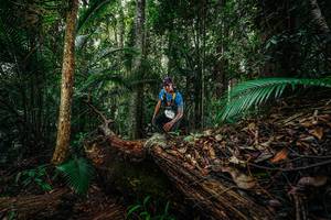 BIB: 
                            <button type="button" onclick="openModal(26426495)" class="btn btn-primary btn-sm float-right btn-popup" data-toggle="modal" data-target=".modal-high-quality">
                        <i class="fas fa-shopping-cart"></i> Add to Cart
                    </button>
                                            <button type="button" onclick="isThisMe(26426495, true)" class="btn btn-success btn-sm float-right btn-popup btn-isme hidden" data-toggle="tooltip" data-placement="bottom" title="นี่คือรูปของคุณใช่ไหม คลิกที่นี่เพื่อเอาเข้าอัลบั้ม">
                        <i class="fas fa-plus"></i> Add to album
                    </button>
                    <button type="button" onclick="isThisMe(26426495, false)" class="btn btn-warning btn-sm float-right btn-popup btn-isnotme hidden">
                        <i class="fas fa-ban"></i> Remove from album
                    </button>