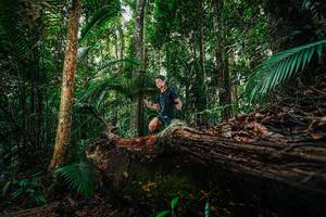 BIB: 
                            <button type="button" onclick="openModal(26424661)" class="btn btn-primary btn-sm float-right btn-popup" data-toggle="modal" data-target=".modal-high-quality">
                        <i class="fas fa-shopping-cart"></i> Add to Cart
                    </button>
                                            <button type="button" onclick="isThisMe(26424661, true)" class="btn btn-success btn-sm float-right btn-popup btn-isme hidden" data-toggle="tooltip" data-placement="bottom" title="นี่คือรูปของคุณใช่ไหม คลิกที่นี่เพื่อเอาเข้าอัลบั้ม">
                        <i class="fas fa-plus"></i> Add to album
                    </button>
                    <button type="button" onclick="isThisMe(26424661, false)" class="btn btn-warning btn-sm float-right btn-popup btn-isnotme hidden">
                        <i class="fas fa-ban"></i> Remove from album
                    </button>