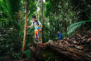 BIB: 
                            <button type="button" onclick="openModal(26425542)" class="btn btn-primary btn-sm float-right btn-popup" data-toggle="modal" data-target=".modal-high-quality">
                        <i class="fas fa-shopping-cart"></i> Add to Cart
                    </button>
                                            <button type="button" onclick="isThisMe(26425542, true)" class="btn btn-success btn-sm float-right btn-popup btn-isme hidden" data-toggle="tooltip" data-placement="bottom" title="นี่คือรูปของคุณใช่ไหม คลิกที่นี่เพื่อเอาเข้าอัลบั้ม">
                        <i class="fas fa-plus"></i> Add to album
                    </button>
                    <button type="button" onclick="isThisMe(26425542, false)" class="btn btn-warning btn-sm float-right btn-popup btn-isnotme hidden">
                        <i class="fas fa-ban"></i> Remove from album
                    </button>