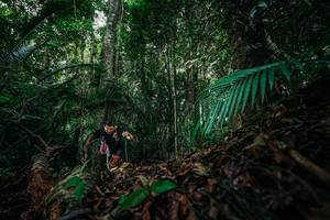 BIB: 
                            <button type="button" onclick="openModal(26431795)" class="btn btn-primary btn-sm float-right btn-popup" data-toggle="modal" data-target=".modal-high-quality">
                        <i class="fas fa-shopping-cart"></i> Add to Cart
                    </button>
                                            <button type="button" onclick="isThisMe(26431795, true)" class="btn btn-success btn-sm float-right btn-popup btn-isme hidden" data-toggle="tooltip" data-placement="bottom" title="นี่คือรูปของคุณใช่ไหม คลิกที่นี่เพื่อเอาเข้าอัลบั้ม">
                        <i class="fas fa-plus"></i> Add to album
                    </button>
                    <button type="button" onclick="isThisMe(26431795, false)" class="btn btn-warning btn-sm float-right btn-popup btn-isnotme hidden">
                        <i class="fas fa-ban"></i> Remove from album
                    </button>