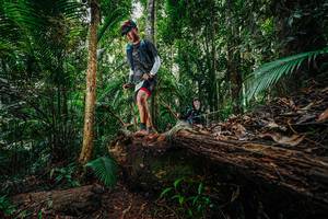 BIB: 
                            <button type="button" onclick="openModal(26425098)" class="btn btn-primary btn-sm float-right btn-popup" data-toggle="modal" data-target=".modal-high-quality">
                        <i class="fas fa-shopping-cart"></i> Add to Cart
                    </button>
                                            <button type="button" onclick="isThisMe(26425098, true)" class="btn btn-success btn-sm float-right btn-popup btn-isme hidden" data-toggle="tooltip" data-placement="bottom" title="นี่คือรูปของคุณใช่ไหม คลิกที่นี่เพื่อเอาเข้าอัลบั้ม">
                        <i class="fas fa-plus"></i> Add to album
                    </button>
                    <button type="button" onclick="isThisMe(26425098, false)" class="btn btn-warning btn-sm float-right btn-popup btn-isnotme hidden">
                        <i class="fas fa-ban"></i> Remove from album
                    </button>