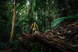 BIB: 
                            <button type="button" onclick="openModal(26425866)" class="btn btn-primary btn-sm float-right btn-popup" data-toggle="modal" data-target=".modal-high-quality">
                        <i class="fas fa-shopping-cart"></i> Add to Cart
                    </button>
                                            <button type="button" onclick="isThisMe(26425866, true)" class="btn btn-success btn-sm float-right btn-popup btn-isme hidden" data-toggle="tooltip" data-placement="bottom" title="นี่คือรูปของคุณใช่ไหม คลิกที่นี่เพื่อเอาเข้าอัลบั้ม">
                        <i class="fas fa-plus"></i> Add to album
                    </button>
                    <button type="button" onclick="isThisMe(26425866, false)" class="btn btn-warning btn-sm float-right btn-popup btn-isnotme hidden">
                        <i class="fas fa-ban"></i> Remove from album
                    </button>