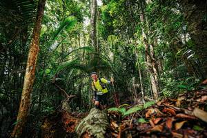 BIB: 
                            <button type="button" onclick="openModal(26420871)" class="btn btn-primary btn-sm float-right btn-popup" data-toggle="modal" data-target=".modal-high-quality">
                        <i class="fas fa-shopping-cart"></i> Add to Cart
                    </button>
                                            <button type="button" onclick="isThisMe(26420871, true)" class="btn btn-success btn-sm float-right btn-popup btn-isme hidden" data-toggle="tooltip" data-placement="bottom" title="นี่คือรูปของคุณใช่ไหม คลิกที่นี่เพื่อเอาเข้าอัลบั้ม">
                        <i class="fas fa-plus"></i> Add to album
                    </button>
                    <button type="button" onclick="isThisMe(26420871, false)" class="btn btn-warning btn-sm float-right btn-popup btn-isnotme hidden">
                        <i class="fas fa-ban"></i> Remove from album
                    </button>