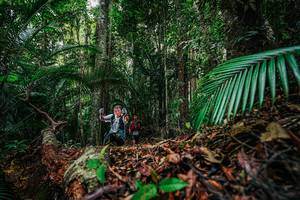 BIB: 
                            <button type="button" onclick="openModal(26427415)" class="btn btn-primary btn-sm float-right btn-popup" data-toggle="modal" data-target=".modal-high-quality">
                        <i class="fas fa-shopping-cart"></i> Add to Cart
                    </button>
                                            <button type="button" onclick="isThisMe(26427415, true)" class="btn btn-success btn-sm float-right btn-popup btn-isme hidden" data-toggle="tooltip" data-placement="bottom" title="นี่คือรูปของคุณใช่ไหม คลิกที่นี่เพื่อเอาเข้าอัลบั้ม">
                        <i class="fas fa-plus"></i> Add to album
                    </button>
                    <button type="button" onclick="isThisMe(26427415, false)" class="btn btn-warning btn-sm float-right btn-popup btn-isnotme hidden">
                        <i class="fas fa-ban"></i> Remove from album
                    </button>