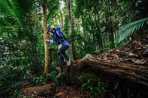 BIB: 
                            <button type="button" onclick="openModal(26425662)" class="btn btn-primary btn-sm float-right btn-popup" data-toggle="modal" data-target=".modal-high-quality">
                        <i class="fas fa-shopping-cart"></i> Add to Cart
                    </button>
                                            <button type="button" onclick="isThisMe(26425662, true)" class="btn btn-success btn-sm float-right btn-popup btn-isme hidden" data-toggle="tooltip" data-placement="bottom" title="นี่คือรูปของคุณใช่ไหม คลิกที่นี่เพื่อเอาเข้าอัลบั้ม">
                        <i class="fas fa-plus"></i> Add to album
                    </button>
                    <button type="button" onclick="isThisMe(26425662, false)" class="btn btn-warning btn-sm float-right btn-popup btn-isnotme hidden">
                        <i class="fas fa-ban"></i> Remove from album
                    </button>