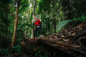 BIB: 
                            <button type="button" onclick="openModal(26425836)" class="btn btn-primary btn-sm float-right btn-popup" data-toggle="modal" data-target=".modal-high-quality">
                        <i class="fas fa-shopping-cart"></i> Add to Cart
                    </button>
                                            <button type="button" onclick="isThisMe(26425836, true)" class="btn btn-success btn-sm float-right btn-popup btn-isme hidden" data-toggle="tooltip" data-placement="bottom" title="นี่คือรูปของคุณใช่ไหม คลิกที่นี่เพื่อเอาเข้าอัลบั้ม">
                        <i class="fas fa-plus"></i> Add to album
                    </button>
                    <button type="button" onclick="isThisMe(26425836, false)" class="btn btn-warning btn-sm float-right btn-popup btn-isnotme hidden">
                        <i class="fas fa-ban"></i> Remove from album
                    </button>