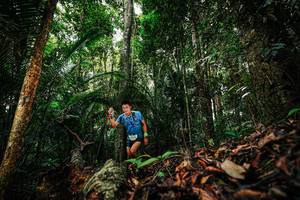 BIB: 
                            <button type="button" onclick="openModal(26420647)" class="btn btn-primary btn-sm float-right btn-popup" data-toggle="modal" data-target=".modal-high-quality">
                        <i class="fas fa-shopping-cart"></i> Add to Cart
                    </button>
                                            <button type="button" onclick="isThisMe(26420647, true)" class="btn btn-success btn-sm float-right btn-popup btn-isme hidden" data-toggle="tooltip" data-placement="bottom" title="นี่คือรูปของคุณใช่ไหม คลิกที่นี่เพื่อเอาเข้าอัลบั้ม">
                        <i class="fas fa-plus"></i> Add to album
                    </button>
                    <button type="button" onclick="isThisMe(26420647, false)" class="btn btn-warning btn-sm float-right btn-popup btn-isnotme hidden">
                        <i class="fas fa-ban"></i> Remove from album
                    </button>