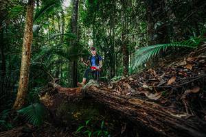 BIB: 
                            <button type="button" onclick="openModal(26426024)" class="btn btn-primary btn-sm float-right btn-popup" data-toggle="modal" data-target=".modal-high-quality">
                        <i class="fas fa-shopping-cart"></i> Add to Cart
                    </button>
                                            <button type="button" onclick="isThisMe(26426024, true)" class="btn btn-success btn-sm float-right btn-popup btn-isme hidden" data-toggle="tooltip" data-placement="bottom" title="นี่คือรูปของคุณใช่ไหม คลิกที่นี่เพื่อเอาเข้าอัลบั้ม">
                        <i class="fas fa-plus"></i> Add to album
                    </button>
                    <button type="button" onclick="isThisMe(26426024, false)" class="btn btn-warning btn-sm float-right btn-popup btn-isnotme hidden">
                        <i class="fas fa-ban"></i> Remove from album
                    </button>