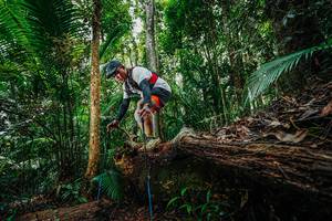 BIB: 
                            <button type="button" onclick="openModal(26425211)" class="btn btn-primary btn-sm float-right btn-popup" data-toggle="modal" data-target=".modal-high-quality">
                        <i class="fas fa-shopping-cart"></i> Add to Cart
                    </button>
                                            <button type="button" onclick="isThisMe(26425211, true)" class="btn btn-success btn-sm float-right btn-popup btn-isme hidden" data-toggle="tooltip" data-placement="bottom" title="นี่คือรูปของคุณใช่ไหม คลิกที่นี่เพื่อเอาเข้าอัลบั้ม">
                        <i class="fas fa-plus"></i> Add to album
                    </button>
                    <button type="button" onclick="isThisMe(26425211, false)" class="btn btn-warning btn-sm float-right btn-popup btn-isnotme hidden">
                        <i class="fas fa-ban"></i> Remove from album
                    </button>