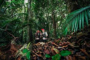 BIB: 
                            <button type="button" onclick="openModal(26431105)" class="btn btn-primary btn-sm float-right btn-popup" data-toggle="modal" data-target=".modal-high-quality">
                        <i class="fas fa-shopping-cart"></i> Add to Cart
                    </button>
                                            <button type="button" onclick="isThisMe(26431105, true)" class="btn btn-success btn-sm float-right btn-popup btn-isme hidden" data-toggle="tooltip" data-placement="bottom" title="นี่คือรูปของคุณใช่ไหม คลิกที่นี่เพื่อเอาเข้าอัลบั้ม">
                        <i class="fas fa-plus"></i> Add to album
                    </button>
                    <button type="button" onclick="isThisMe(26431105, false)" class="btn btn-warning btn-sm float-right btn-popup btn-isnotme hidden">
                        <i class="fas fa-ban"></i> Remove from album
                    </button>