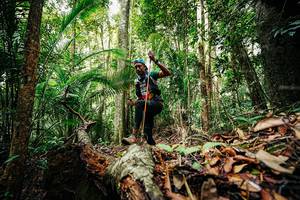 BIB: 
                            <button type="button" onclick="openModal(26420437)" class="btn btn-primary btn-sm float-right btn-popup" data-toggle="modal" data-target=".modal-high-quality">
                        <i class="fas fa-shopping-cart"></i> Add to Cart
                    </button>
                                            <button type="button" onclick="isThisMe(26420437, true)" class="btn btn-success btn-sm float-right btn-popup btn-isme hidden" data-toggle="tooltip" data-placement="bottom" title="นี่คือรูปของคุณใช่ไหม คลิกที่นี่เพื่อเอาเข้าอัลบั้ม">
                        <i class="fas fa-plus"></i> Add to album
                    </button>
                    <button type="button" onclick="isThisMe(26420437, false)" class="btn btn-warning btn-sm float-right btn-popup btn-isnotme hidden">
                        <i class="fas fa-ban"></i> Remove from album
                    </button>