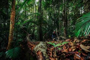 BIB: 
                            <button type="button" onclick="openModal(26421905)" class="btn btn-primary btn-sm float-right btn-popup" data-toggle="modal" data-target=".modal-high-quality">
                        <i class="fas fa-shopping-cart"></i> Add to Cart
                    </button>
                                            <button type="button" onclick="isThisMe(26421905, true)" class="btn btn-success btn-sm float-right btn-popup btn-isme hidden" data-toggle="tooltip" data-placement="bottom" title="นี่คือรูปของคุณใช่ไหม คลิกที่นี่เพื่อเอาเข้าอัลบั้ม">
                        <i class="fas fa-plus"></i> Add to album
                    </button>
                    <button type="button" onclick="isThisMe(26421905, false)" class="btn btn-warning btn-sm float-right btn-popup btn-isnotme hidden">
                        <i class="fas fa-ban"></i> Remove from album
                    </button>