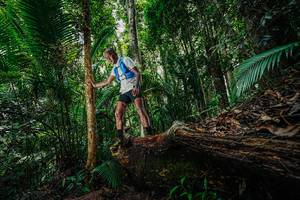 BIB: 
                            <button type="button" onclick="openModal(26425850)" class="btn btn-primary btn-sm float-right btn-popup" data-toggle="modal" data-target=".modal-high-quality">
                        <i class="fas fa-shopping-cart"></i> Add to Cart
                    </button>
                                            <button type="button" onclick="isThisMe(26425850, true)" class="btn btn-success btn-sm float-right btn-popup btn-isme hidden" data-toggle="tooltip" data-placement="bottom" title="นี่คือรูปของคุณใช่ไหม คลิกที่นี่เพื่อเอาเข้าอัลบั้ม">
                        <i class="fas fa-plus"></i> Add to album
                    </button>
                    <button type="button" onclick="isThisMe(26425850, false)" class="btn btn-warning btn-sm float-right btn-popup btn-isnotme hidden">
                        <i class="fas fa-ban"></i> Remove from album
                    </button>