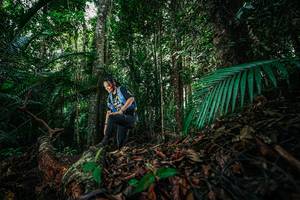 BIB: 
                            <button type="button" onclick="openModal(26431636)" class="btn btn-primary btn-sm float-right btn-popup" data-toggle="modal" data-target=".modal-high-quality">
                        <i class="fas fa-shopping-cart"></i> Add to Cart
                    </button>
                                            <button type="button" onclick="isThisMe(26431636, true)" class="btn btn-success btn-sm float-right btn-popup btn-isme hidden" data-toggle="tooltip" data-placement="bottom" title="นี่คือรูปของคุณใช่ไหม คลิกที่นี่เพื่อเอาเข้าอัลบั้ม">
                        <i class="fas fa-plus"></i> Add to album
                    </button>
                    <button type="button" onclick="isThisMe(26431636, false)" class="btn btn-warning btn-sm float-right btn-popup btn-isnotme hidden">
                        <i class="fas fa-ban"></i> Remove from album
                    </button>