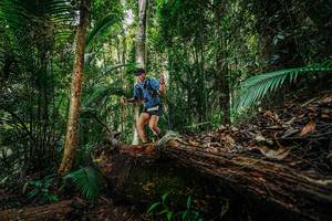 BIB: 
                            <button type="button" onclick="openModal(26425759)" class="btn btn-primary btn-sm float-right btn-popup" data-toggle="modal" data-target=".modal-high-quality">
                        <i class="fas fa-shopping-cart"></i> Add to Cart
                    </button>
                                            <button type="button" onclick="isThisMe(26425759, true)" class="btn btn-success btn-sm float-right btn-popup btn-isme hidden" data-toggle="tooltip" data-placement="bottom" title="นี่คือรูปของคุณใช่ไหม คลิกที่นี่เพื่อเอาเข้าอัลบั้ม">
                        <i class="fas fa-plus"></i> Add to album
                    </button>
                    <button type="button" onclick="isThisMe(26425759, false)" class="btn btn-warning btn-sm float-right btn-popup btn-isnotme hidden">
                        <i class="fas fa-ban"></i> Remove from album
                    </button>