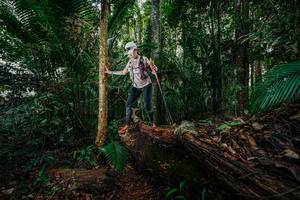 BIB: 
                            <button type="button" onclick="openModal(26426372)" class="btn btn-primary btn-sm float-right btn-popup" data-toggle="modal" data-target=".modal-high-quality">
                        <i class="fas fa-shopping-cart"></i> Add to Cart
                    </button>
                                            <button type="button" onclick="isThisMe(26426372, true)" class="btn btn-success btn-sm float-right btn-popup btn-isme hidden" data-toggle="tooltip" data-placement="bottom" title="นี่คือรูปของคุณใช่ไหม คลิกที่นี่เพื่อเอาเข้าอัลบั้ม">
                        <i class="fas fa-plus"></i> Add to album
                    </button>
                    <button type="button" onclick="isThisMe(26426372, false)" class="btn btn-warning btn-sm float-right btn-popup btn-isnotme hidden">
                        <i class="fas fa-ban"></i> Remove from album
                    </button>