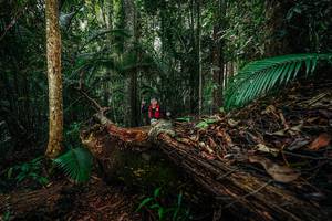 BIB: 
                            <button type="button" onclick="openModal(26426346)" class="btn btn-primary btn-sm float-right btn-popup" data-toggle="modal" data-target=".modal-high-quality">
                        <i class="fas fa-shopping-cart"></i> Add to Cart
                    </button>
                                            <button type="button" onclick="isThisMe(26426346, true)" class="btn btn-success btn-sm float-right btn-popup btn-isme hidden" data-toggle="tooltip" data-placement="bottom" title="นี่คือรูปของคุณใช่ไหม คลิกที่นี่เพื่อเอาเข้าอัลบั้ม">
                        <i class="fas fa-plus"></i> Add to album
                    </button>
                    <button type="button" onclick="isThisMe(26426346, false)" class="btn btn-warning btn-sm float-right btn-popup btn-isnotme hidden">
                        <i class="fas fa-ban"></i> Remove from album
                    </button>