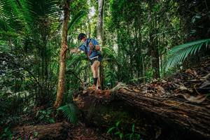 BIB: 
                            <button type="button" onclick="openModal(26425761)" class="btn btn-primary btn-sm float-right btn-popup" data-toggle="modal" data-target=".modal-high-quality">
                        <i class="fas fa-shopping-cart"></i> Add to Cart
                    </button>
                                            <button type="button" onclick="isThisMe(26425761, true)" class="btn btn-success btn-sm float-right btn-popup btn-isme hidden" data-toggle="tooltip" data-placement="bottom" title="นี่คือรูปของคุณใช่ไหม คลิกที่นี่เพื่อเอาเข้าอัลบั้ม">
                        <i class="fas fa-plus"></i> Add to album
                    </button>
                    <button type="button" onclick="isThisMe(26425761, false)" class="btn btn-warning btn-sm float-right btn-popup btn-isnotme hidden">
                        <i class="fas fa-ban"></i> Remove from album
                    </button>