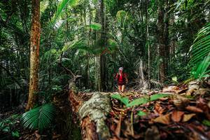 BIB: 
                            <button type="button" onclick="openModal(26422187)" class="btn btn-primary btn-sm float-right btn-popup" data-toggle="modal" data-target=".modal-high-quality">
                        <i class="fas fa-shopping-cart"></i> Add to Cart
                    </button>
                                            <button type="button" onclick="isThisMe(26422187, true)" class="btn btn-success btn-sm float-right btn-popup btn-isme hidden" data-toggle="tooltip" data-placement="bottom" title="นี่คือรูปของคุณใช่ไหม คลิกที่นี่เพื่อเอาเข้าอัลบั้ม">
                        <i class="fas fa-plus"></i> Add to album
                    </button>
                    <button type="button" onclick="isThisMe(26422187, false)" class="btn btn-warning btn-sm float-right btn-popup btn-isnotme hidden">
                        <i class="fas fa-ban"></i> Remove from album
                    </button>