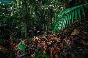 BIB: 
                            <button type="button" onclick="openModal(26429450)" class="btn btn-primary btn-sm float-right btn-popup" data-toggle="modal" data-target=".modal-high-quality">
                        <i class="fas fa-shopping-cart"></i> Add to Cart
                    </button>
                                            <button type="button" onclick="isThisMe(26429450, true)" class="btn btn-success btn-sm float-right btn-popup btn-isme hidden" data-toggle="tooltip" data-placement="bottom" title="นี่คือรูปของคุณใช่ไหม คลิกที่นี่เพื่อเอาเข้าอัลบั้ม">
                        <i class="fas fa-plus"></i> Add to album
                    </button>
                    <button type="button" onclick="isThisMe(26429450, false)" class="btn btn-warning btn-sm float-right btn-popup btn-isnotme hidden">
                        <i class="fas fa-ban"></i> Remove from album
                    </button>