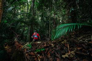 BIB: 
                            <button type="button" onclick="openModal(26428164)" class="btn btn-primary btn-sm float-right btn-popup" data-toggle="modal" data-target=".modal-high-quality">
                        <i class="fas fa-shopping-cart"></i> Add to Cart
                    </button>
                                            <button type="button" onclick="isThisMe(26428164, true)" class="btn btn-success btn-sm float-right btn-popup btn-isme hidden" data-toggle="tooltip" data-placement="bottom" title="นี่คือรูปของคุณใช่ไหม คลิกที่นี่เพื่อเอาเข้าอัลบั้ม">
                        <i class="fas fa-plus"></i> Add to album
                    </button>
                    <button type="button" onclick="isThisMe(26428164, false)" class="btn btn-warning btn-sm float-right btn-popup btn-isnotme hidden">
                        <i class="fas fa-ban"></i> Remove from album
                    </button>