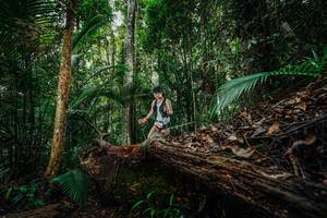 BIB: 
                            <button type="button" onclick="openModal(26425560)" class="btn btn-primary btn-sm float-right btn-popup" data-toggle="modal" data-target=".modal-high-quality">
                        <i class="fas fa-shopping-cart"></i> Add to Cart
                    </button>
                                            <button type="button" onclick="isThisMe(26425560, true)" class="btn btn-success btn-sm float-right btn-popup btn-isme hidden" data-toggle="tooltip" data-placement="bottom" title="นี่คือรูปของคุณใช่ไหม คลิกที่นี่เพื่อเอาเข้าอัลบั้ม">
                        <i class="fas fa-plus"></i> Add to album
                    </button>
                    <button type="button" onclick="isThisMe(26425560, false)" class="btn btn-warning btn-sm float-right btn-popup btn-isnotme hidden">
                        <i class="fas fa-ban"></i> Remove from album
                    </button>