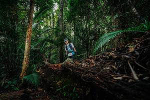 BIB: 
                            <button type="button" onclick="openModal(26423520)" class="btn btn-primary btn-sm float-right btn-popup" data-toggle="modal" data-target=".modal-high-quality">
                        <i class="fas fa-shopping-cart"></i> Add to Cart
                    </button>
                                            <button type="button" onclick="isThisMe(26423520, true)" class="btn btn-success btn-sm float-right btn-popup btn-isme hidden" data-toggle="tooltip" data-placement="bottom" title="นี่คือรูปของคุณใช่ไหม คลิกที่นี่เพื่อเอาเข้าอัลบั้ม">
                        <i class="fas fa-plus"></i> Add to album
                    </button>
                    <button type="button" onclick="isThisMe(26423520, false)" class="btn btn-warning btn-sm float-right btn-popup btn-isnotme hidden">
                        <i class="fas fa-ban"></i> Remove from album
                    </button>