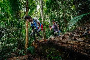 BIB: 
                            <button type="button" onclick="openModal(26425360)" class="btn btn-primary btn-sm float-right btn-popup" data-toggle="modal" data-target=".modal-high-quality">
                        <i class="fas fa-shopping-cart"></i> Add to Cart
                    </button>
                                            <button type="button" onclick="isThisMe(26425360, true)" class="btn btn-success btn-sm float-right btn-popup btn-isme hidden" data-toggle="tooltip" data-placement="bottom" title="นี่คือรูปของคุณใช่ไหม คลิกที่นี่เพื่อเอาเข้าอัลบั้ม">
                        <i class="fas fa-plus"></i> Add to album
                    </button>
                    <button type="button" onclick="isThisMe(26425360, false)" class="btn btn-warning btn-sm float-right btn-popup btn-isnotme hidden">
                        <i class="fas fa-ban"></i> Remove from album
                    </button>