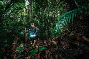 BIB: 
                            <button type="button" onclick="openModal(26431574)" class="btn btn-primary btn-sm float-right btn-popup" data-toggle="modal" data-target=".modal-high-quality">
                        <i class="fas fa-shopping-cart"></i> Add to Cart
                    </button>
                                            <button type="button" onclick="isThisMe(26431574, true)" class="btn btn-success btn-sm float-right btn-popup btn-isme hidden" data-toggle="tooltip" data-placement="bottom" title="นี่คือรูปของคุณใช่ไหม คลิกที่นี่เพื่อเอาเข้าอัลบั้ม">
                        <i class="fas fa-plus"></i> Add to album
                    </button>
                    <button type="button" onclick="isThisMe(26431574, false)" class="btn btn-warning btn-sm float-right btn-popup btn-isnotme hidden">
                        <i class="fas fa-ban"></i> Remove from album
                    </button>