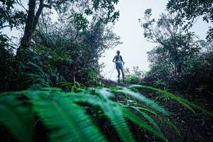 BIB: 
                            <button type="button" onclick="openModal(26416810)" class="btn btn-primary btn-sm float-right btn-popup" data-toggle="modal" data-target=".modal-high-quality">
                        <i class="fas fa-shopping-cart"></i> Add to Cart
                    </button>
                                            <button type="button" onclick="isThisMe(26416810, true)" class="btn btn-success btn-sm float-right btn-popup btn-isme hidden" data-toggle="tooltip" data-placement="bottom" title="นี่คือรูปของคุณใช่ไหม คลิกที่นี่เพื่อเอาเข้าอัลบั้ม">
                        <i class="fas fa-plus"></i> Add to album
                    </button>
                    <button type="button" onclick="isThisMe(26416810, false)" class="btn btn-warning btn-sm float-right btn-popup btn-isnotme hidden">
                        <i class="fas fa-ban"></i> Remove from album
                    </button>