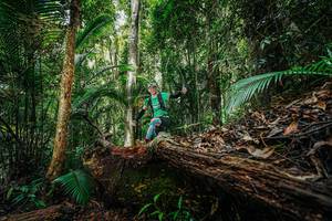 BIB: 
                            <button type="button" onclick="openModal(26425736)" class="btn btn-primary btn-sm float-right btn-popup" data-toggle="modal" data-target=".modal-high-quality">
                        <i class="fas fa-shopping-cart"></i> Add to Cart
                    </button>
                                            <button type="button" onclick="isThisMe(26425736, true)" class="btn btn-success btn-sm float-right btn-popup btn-isme hidden" data-toggle="tooltip" data-placement="bottom" title="นี่คือรูปของคุณใช่ไหม คลิกที่นี่เพื่อเอาเข้าอัลบั้ม">
                        <i class="fas fa-plus"></i> Add to album
                    </button>
                    <button type="button" onclick="isThisMe(26425736, false)" class="btn btn-warning btn-sm float-right btn-popup btn-isnotme hidden">
                        <i class="fas fa-ban"></i> Remove from album
                    </button>