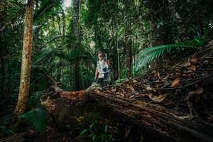 BIB: 
                            <button type="button" onclick="openModal(26426239)" class="btn btn-primary btn-sm float-right btn-popup" data-toggle="modal" data-target=".modal-high-quality">
                        <i class="fas fa-shopping-cart"></i> Add to Cart
                    </button>
                                            <button type="button" onclick="isThisMe(26426239, true)" class="btn btn-success btn-sm float-right btn-popup btn-isme hidden" data-toggle="tooltip" data-placement="bottom" title="นี่คือรูปของคุณใช่ไหม คลิกที่นี่เพื่อเอาเข้าอัลบั้ม">
                        <i class="fas fa-plus"></i> Add to album
                    </button>
                    <button type="button" onclick="isThisMe(26426239, false)" class="btn btn-warning btn-sm float-right btn-popup btn-isnotme hidden">
                        <i class="fas fa-ban"></i> Remove from album
                    </button>