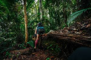 BIB: 
                            <button type="button" onclick="openModal(26425626)" class="btn btn-primary btn-sm float-right btn-popup" data-toggle="modal" data-target=".modal-high-quality">
                        <i class="fas fa-shopping-cart"></i> Add to Cart
                    </button>
                                            <button type="button" onclick="isThisMe(26425626, true)" class="btn btn-success btn-sm float-right btn-popup btn-isme hidden" data-toggle="tooltip" data-placement="bottom" title="นี่คือรูปของคุณใช่ไหม คลิกที่นี่เพื่อเอาเข้าอัลบั้ม">
                        <i class="fas fa-plus"></i> Add to album
                    </button>
                    <button type="button" onclick="isThisMe(26425626, false)" class="btn btn-warning btn-sm float-right btn-popup btn-isnotme hidden">
                        <i class="fas fa-ban"></i> Remove from album
                    </button>