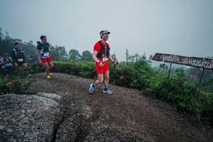 BIB: 
                            <button type="button" onclick="openModal(26417647)" class="btn btn-primary btn-sm float-right btn-popup" data-toggle="modal" data-target=".modal-high-quality">
                        <i class="fas fa-shopping-cart"></i> Add to Cart
                    </button>
                                            <button type="button" onclick="isThisMe(26417647, true)" class="btn btn-success btn-sm float-right btn-popup btn-isme hidden" data-toggle="tooltip" data-placement="bottom" title="นี่คือรูปของคุณใช่ไหม คลิกที่นี่เพื่อเอาเข้าอัลบั้ม">
                        <i class="fas fa-plus"></i> Add to album
                    </button>
                    <button type="button" onclick="isThisMe(26417647, false)" class="btn btn-warning btn-sm float-right btn-popup btn-isnotme hidden">
                        <i class="fas fa-ban"></i> Remove from album
                    </button>