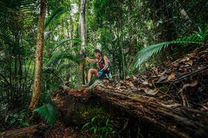 BIB: 
                            <button type="button" onclick="openModal(26425240)" class="btn btn-primary btn-sm float-right btn-popup" data-toggle="modal" data-target=".modal-high-quality">
                        <i class="fas fa-shopping-cart"></i> Add to Cart
                    </button>
                                            <button type="button" onclick="isThisMe(26425240, true)" class="btn btn-success btn-sm float-right btn-popup btn-isme hidden" data-toggle="tooltip" data-placement="bottom" title="นี่คือรูปของคุณใช่ไหม คลิกที่นี่เพื่อเอาเข้าอัลบั้ม">
                        <i class="fas fa-plus"></i> Add to album
                    </button>
                    <button type="button" onclick="isThisMe(26425240, false)" class="btn btn-warning btn-sm float-right btn-popup btn-isnotme hidden">
                        <i class="fas fa-ban"></i> Remove from album
                    </button>